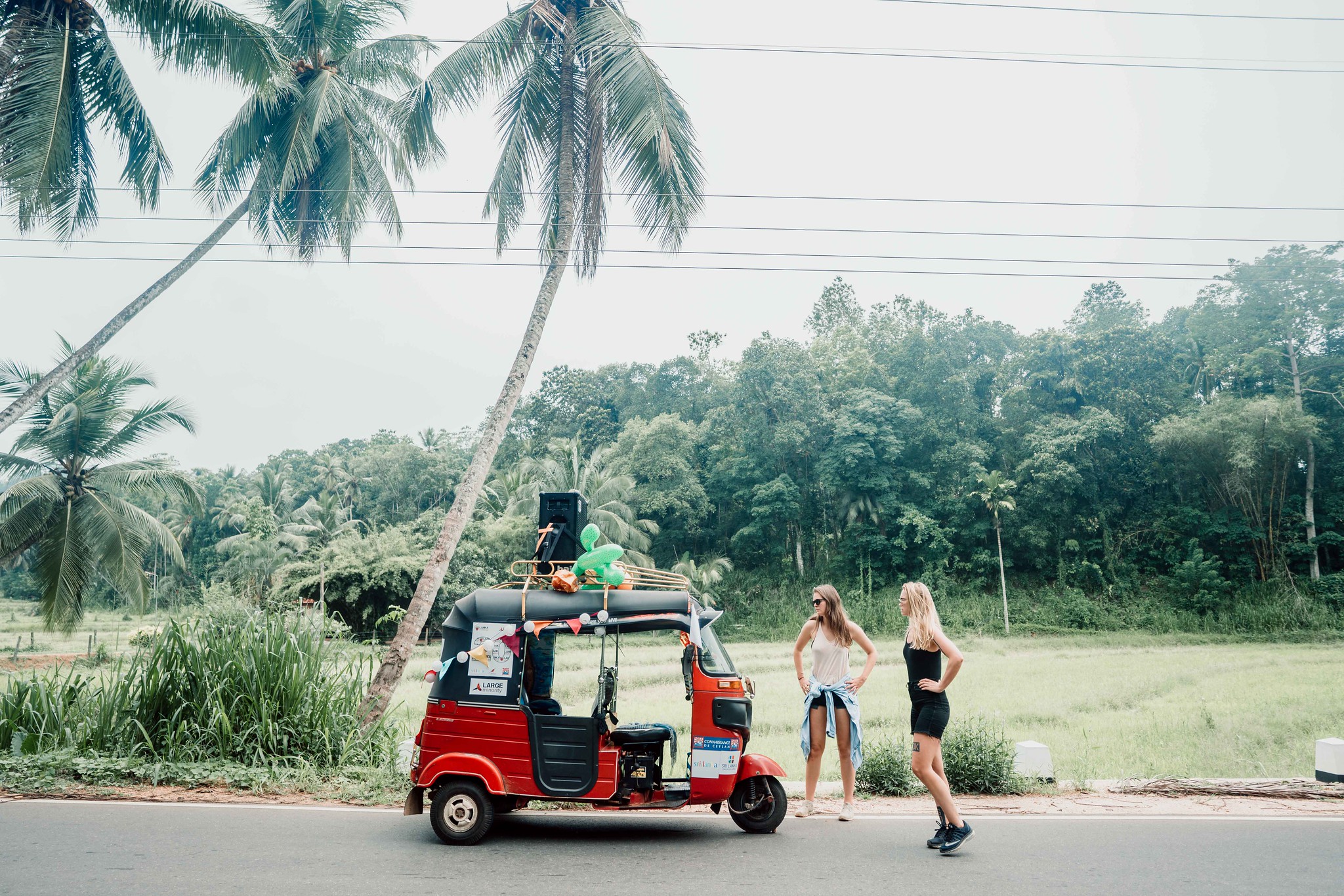 Travel Gallery