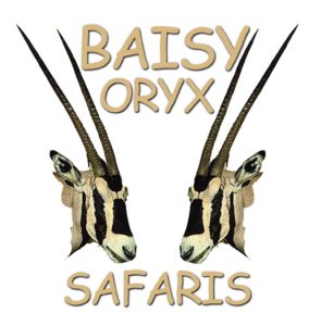 Baisy Oryx Tours, Travel and Safaris Ltd (BOTTS)