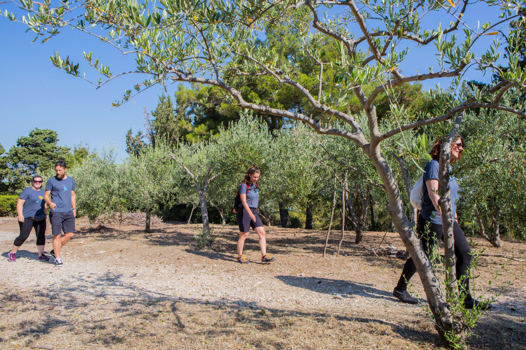 7 day walk and hike holiday from Split to Dubrovnik