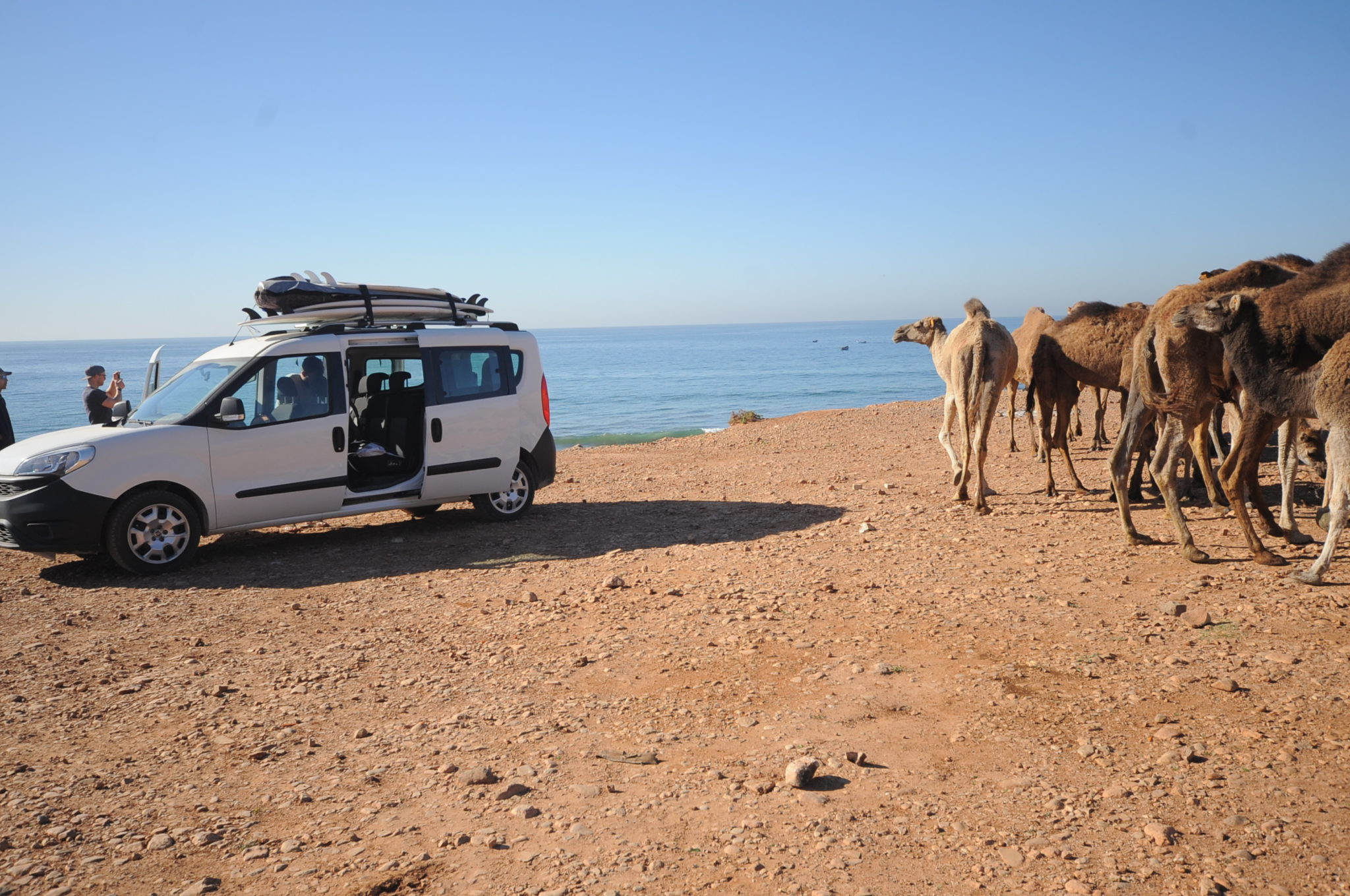 Travel Gallery