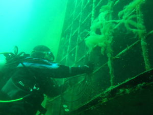 This is an amazing PADI Dive Master Course in Argentina