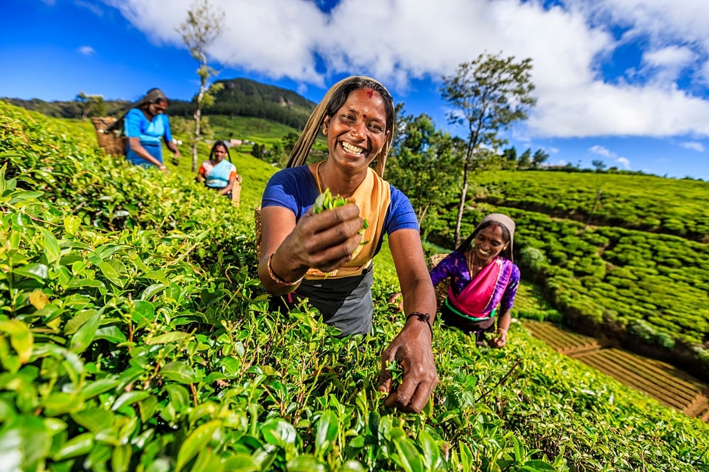 Hill Walking & Beach Holiday in Sri Lanka