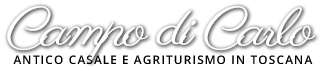 Campo di Carlo logo