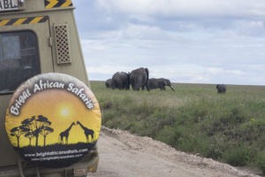 Bright African Safaris