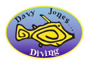 Davy Jones Diving, Gran Canaria