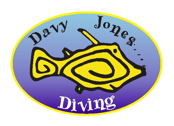 Davy Jones Diving, Gran Canaria