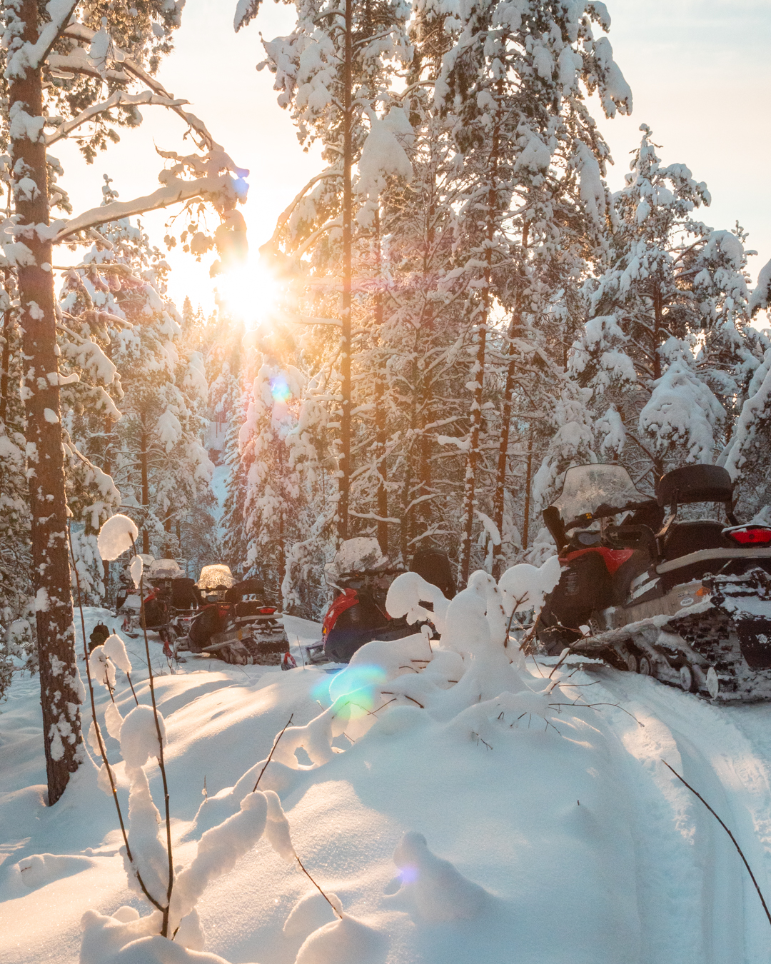 90 min Finland Guided Snowmobile safari in Porokylä