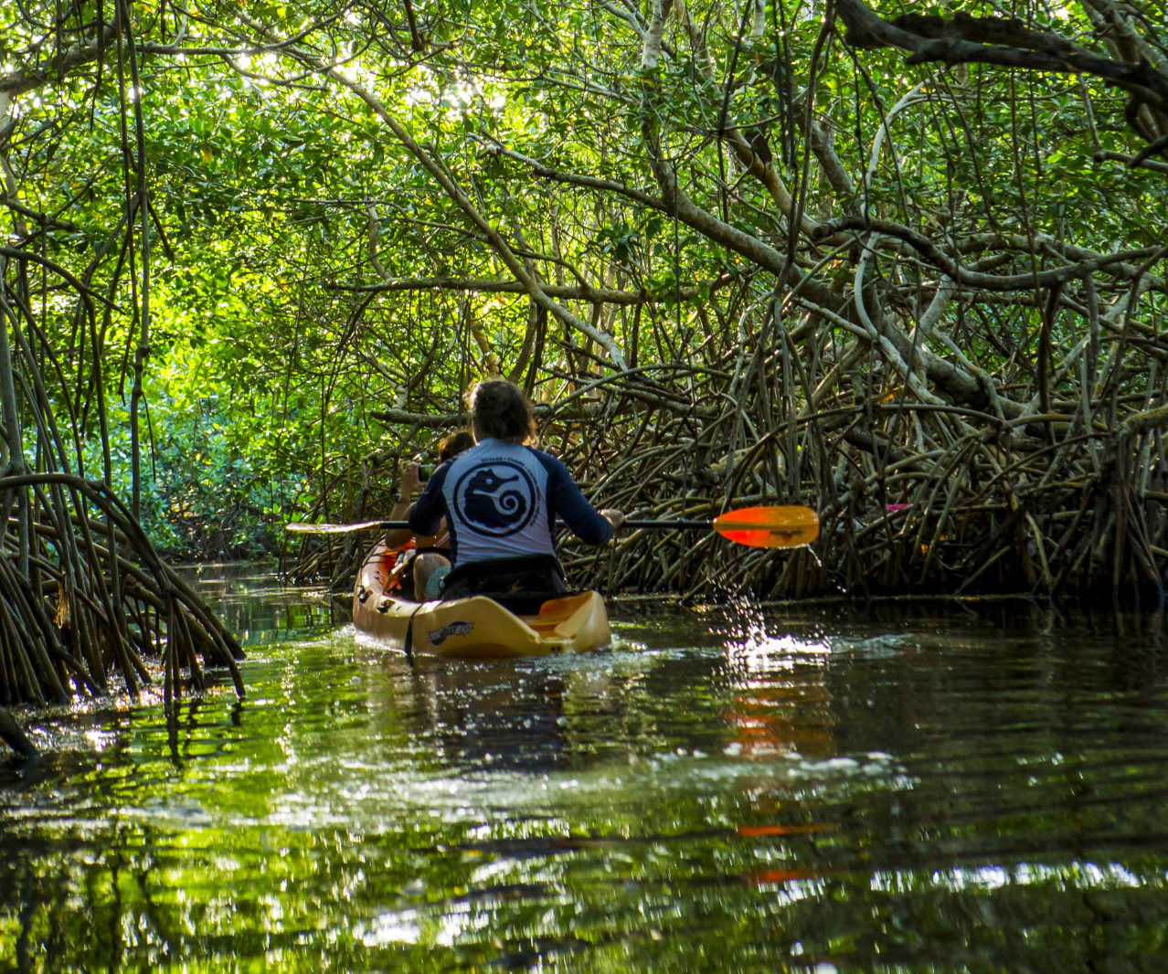 Full Day Kayak in Xcalak
