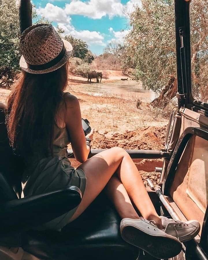 Travel Gallery