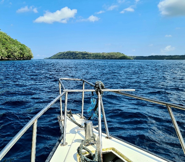 Boat scuba diving in Nusa Penida Photo by Cara Rees