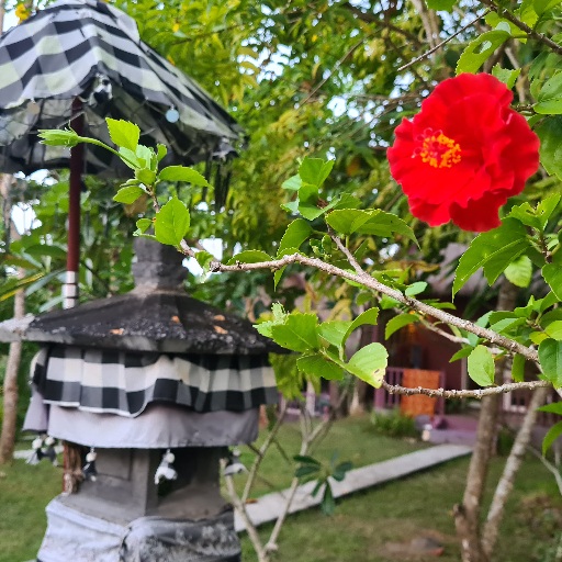 Hindo shrine in Nusa Penida Photo by Cara Rees