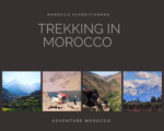 Morocco Expeditioners