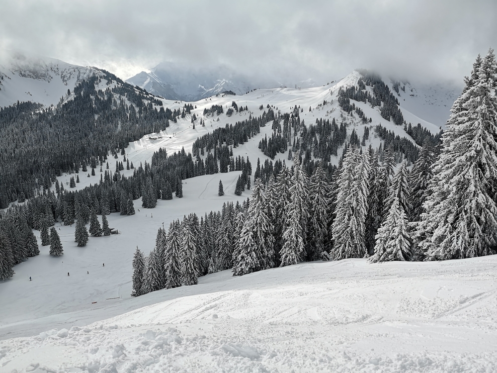 Review of Portes du Soleil snowboarding holiday in Chatel and Les Gets - Mark Barber in Chatel