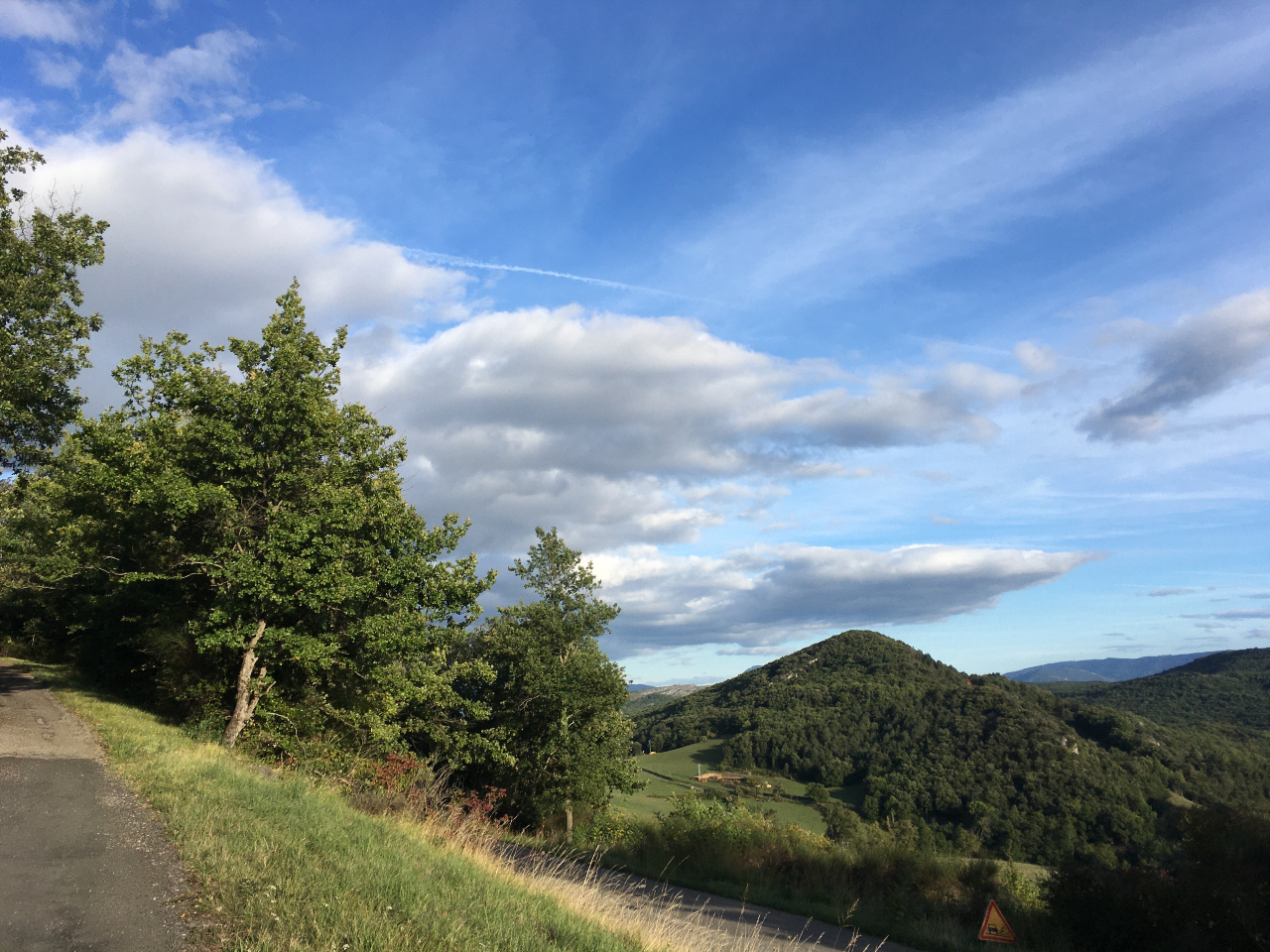 Forests and mountains covered in trees in French Pyrenees
