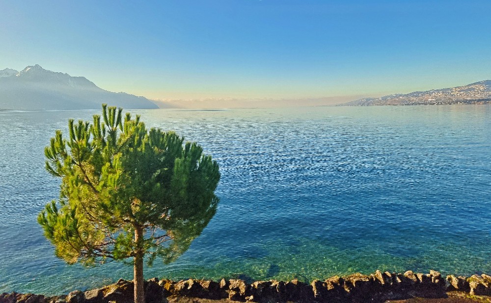 Lake Geneva from a moving train