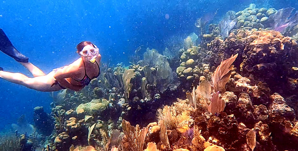 Review of Utila Dive Centre in Honduras