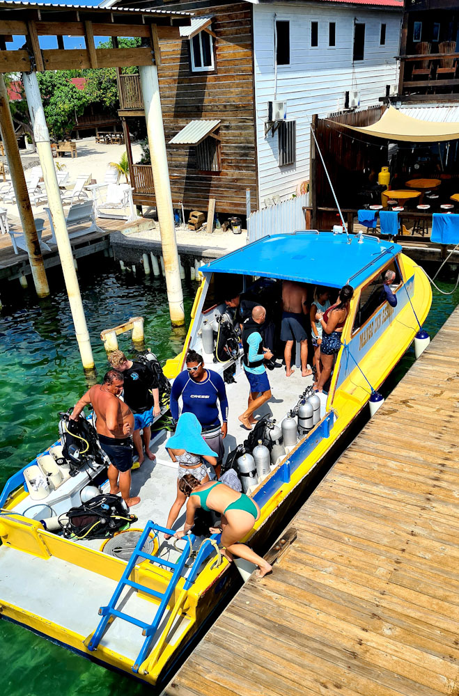 Review of Utila Dive Center