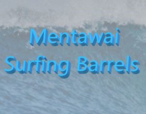 Mentawai Surfing Barrels