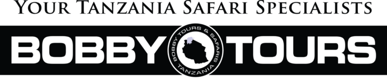 Bobby Tours