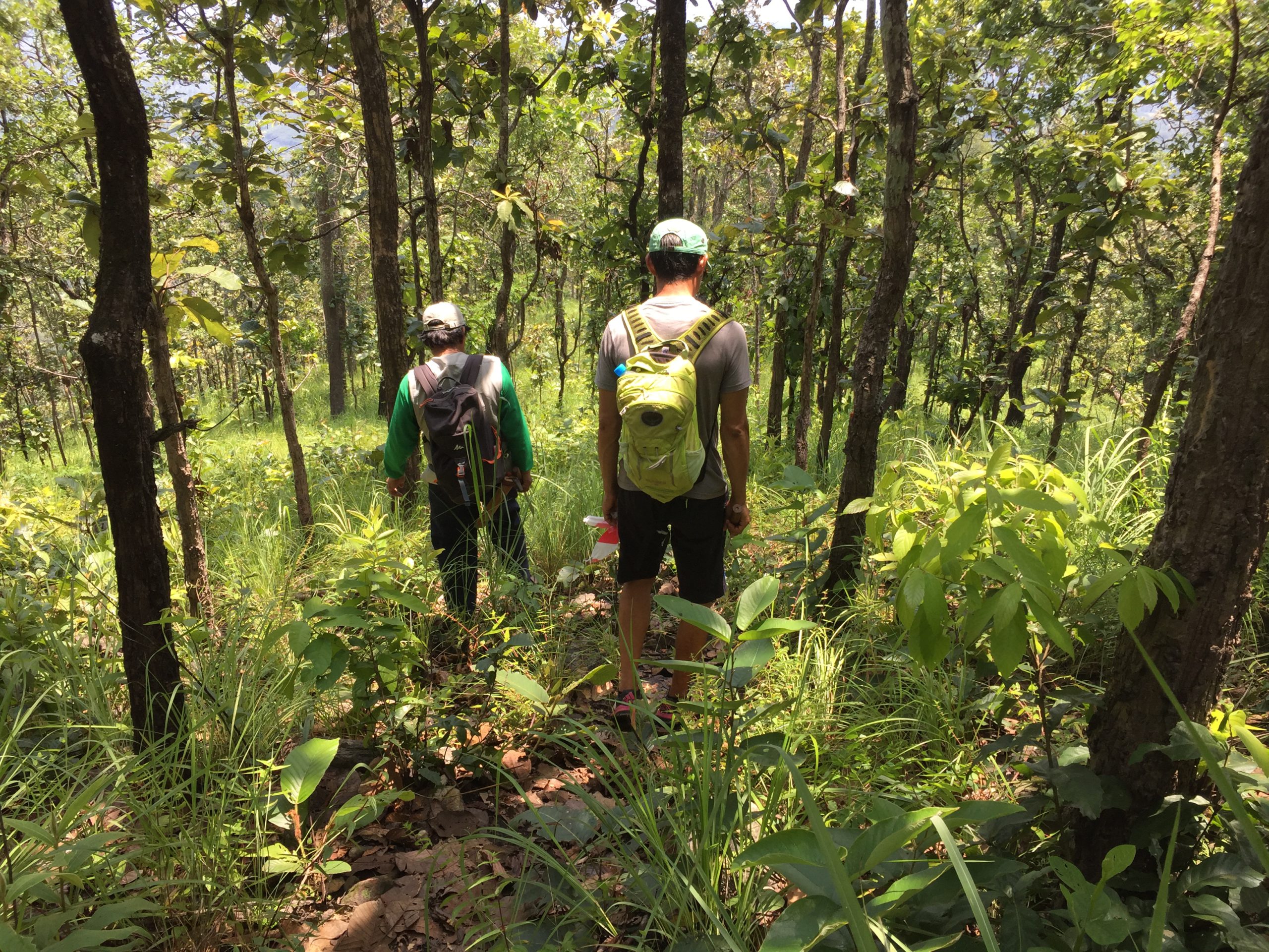 3 day Thailand mountain trekking holiday in Chiang Mai