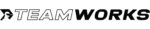 teamworks-karting-logo