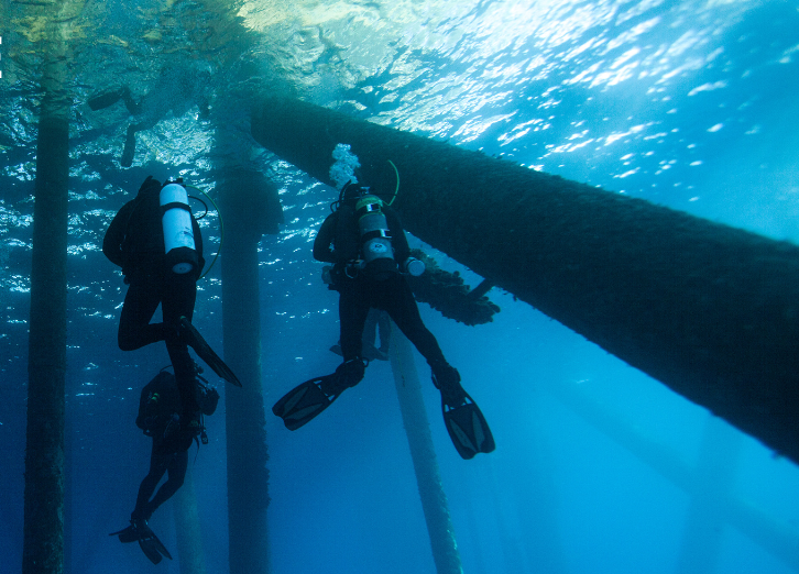 Wellington PADI Advanced Open Water Diver Course in New Zealand