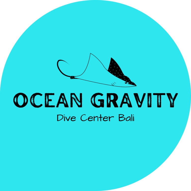 Ocean Gravity Bali
