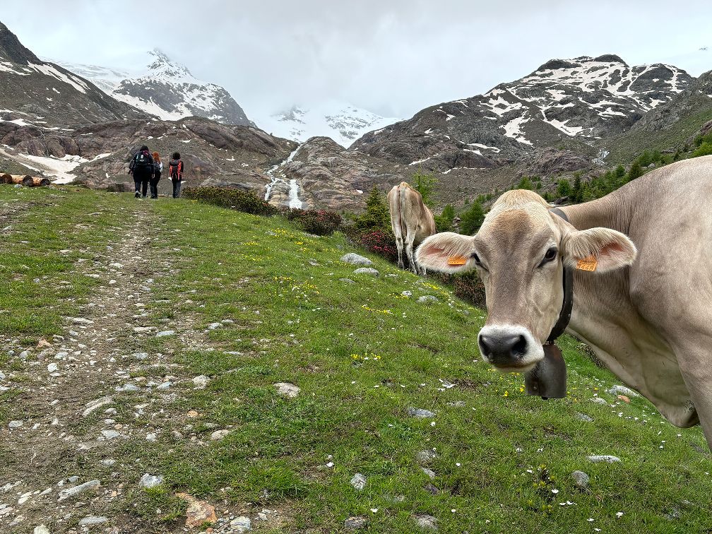 hike during Review of Stelvio Summer Mountain Activities in Bormio, Italy photo by Rhyia Clark hike during Review of Stelvio Summer Mountain Activities in Bormio, Italy photo by Rhyia Clark