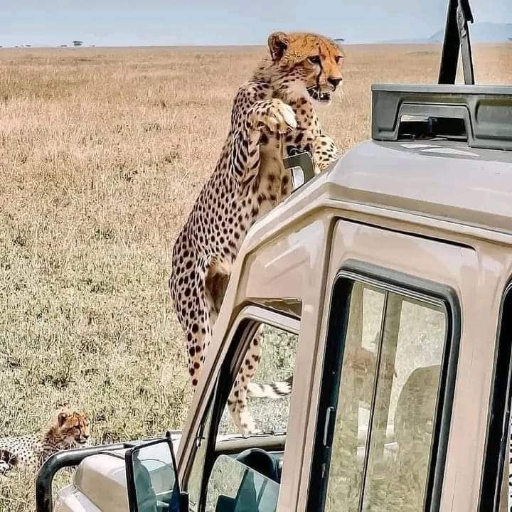 Travel Gallery