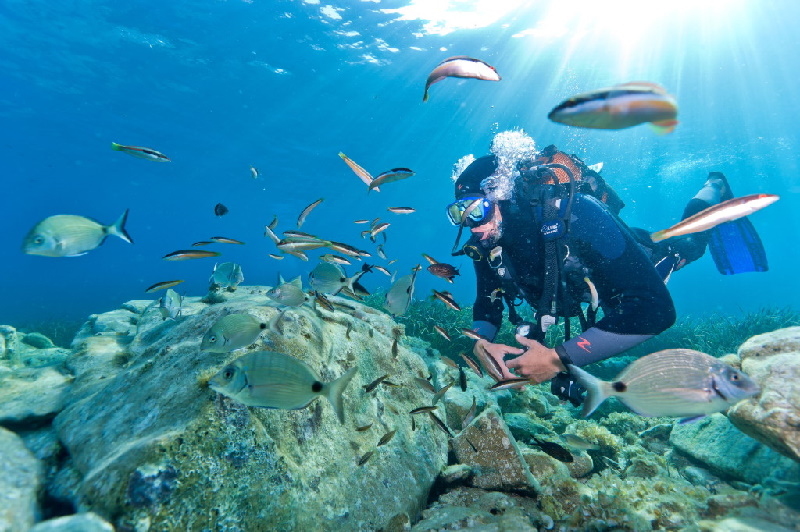 Scuba diver off the coast of France