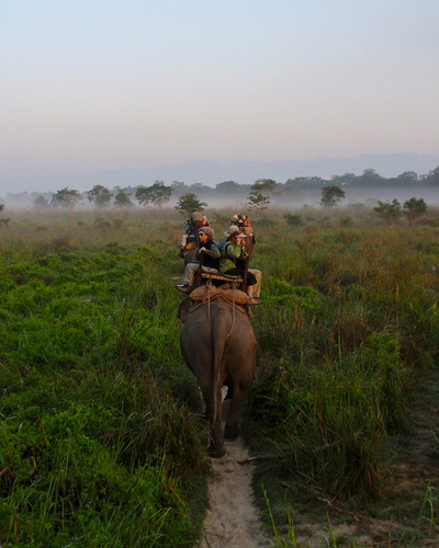 India, Nepal, Adventure Travel, Trekking, Trekking in Nepal, Everest, Explore, Everest Base Camp, Trekking Holidays, Overland, Overland Holidays